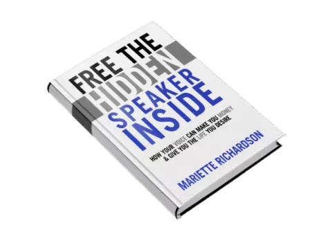 Free Hidden Speaker