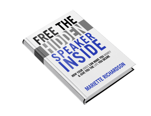 Free Hidden Speaker
